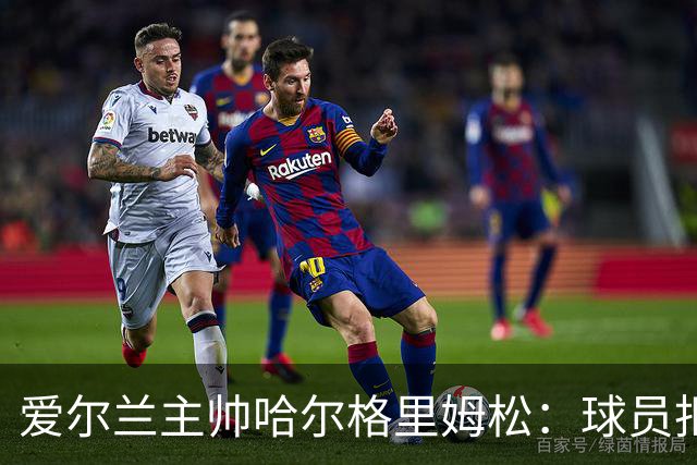 爱尔兰主帅哈尔格里姆松：球员拒绝握手以引发对巴以问题的关注